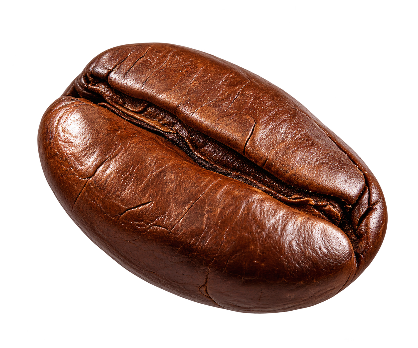 Roasted Coffee Bean